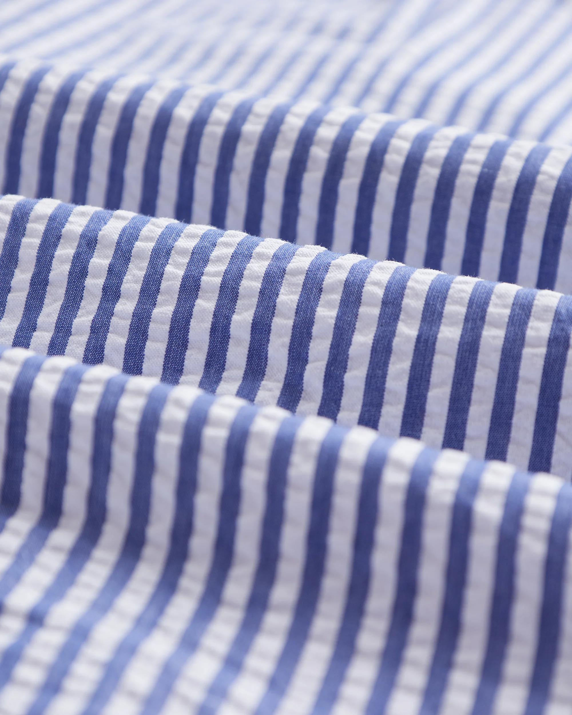 ATLANTICO STRIPE - BLUE - Image 4