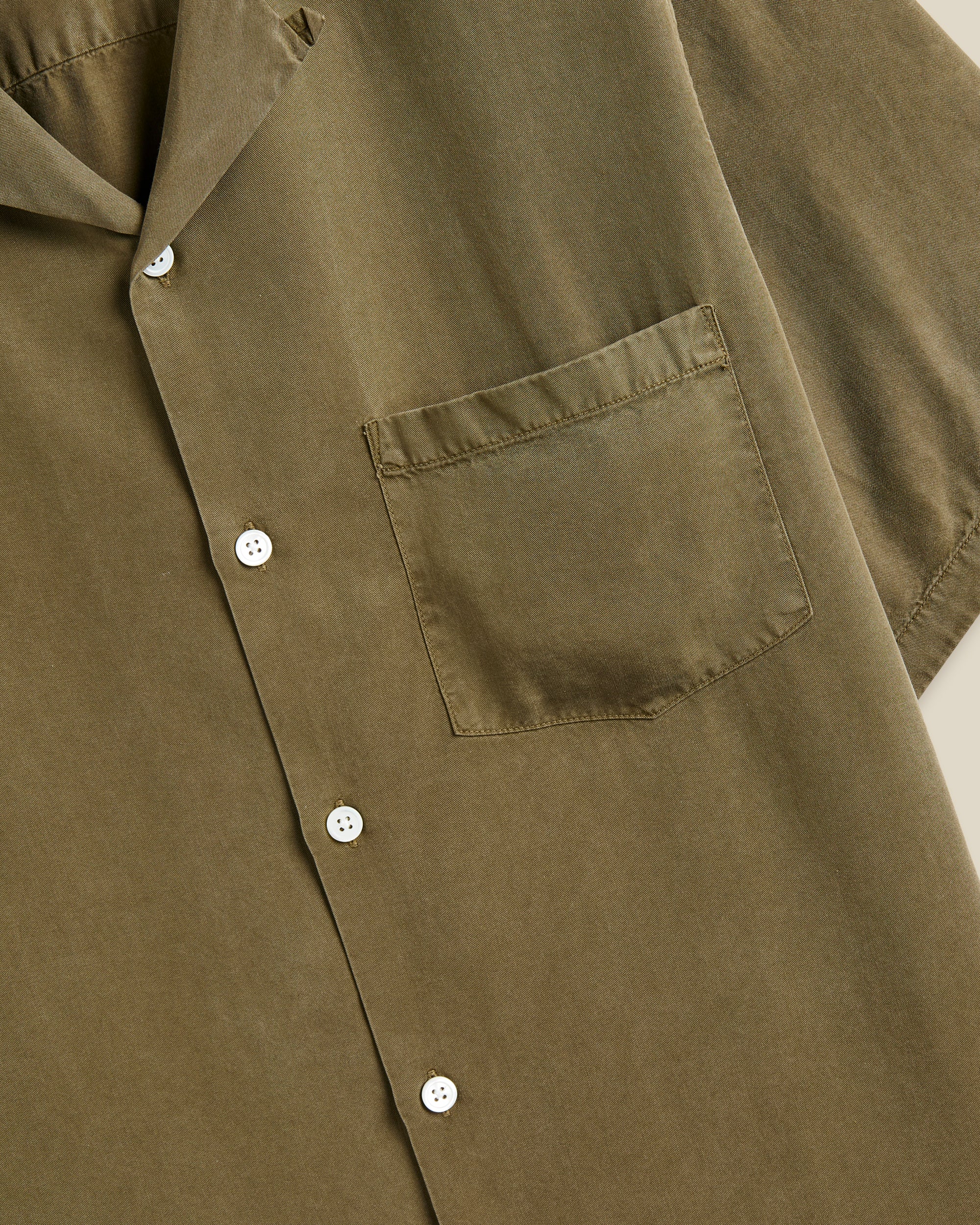 DOGTOWN - OLIVE - Image 3