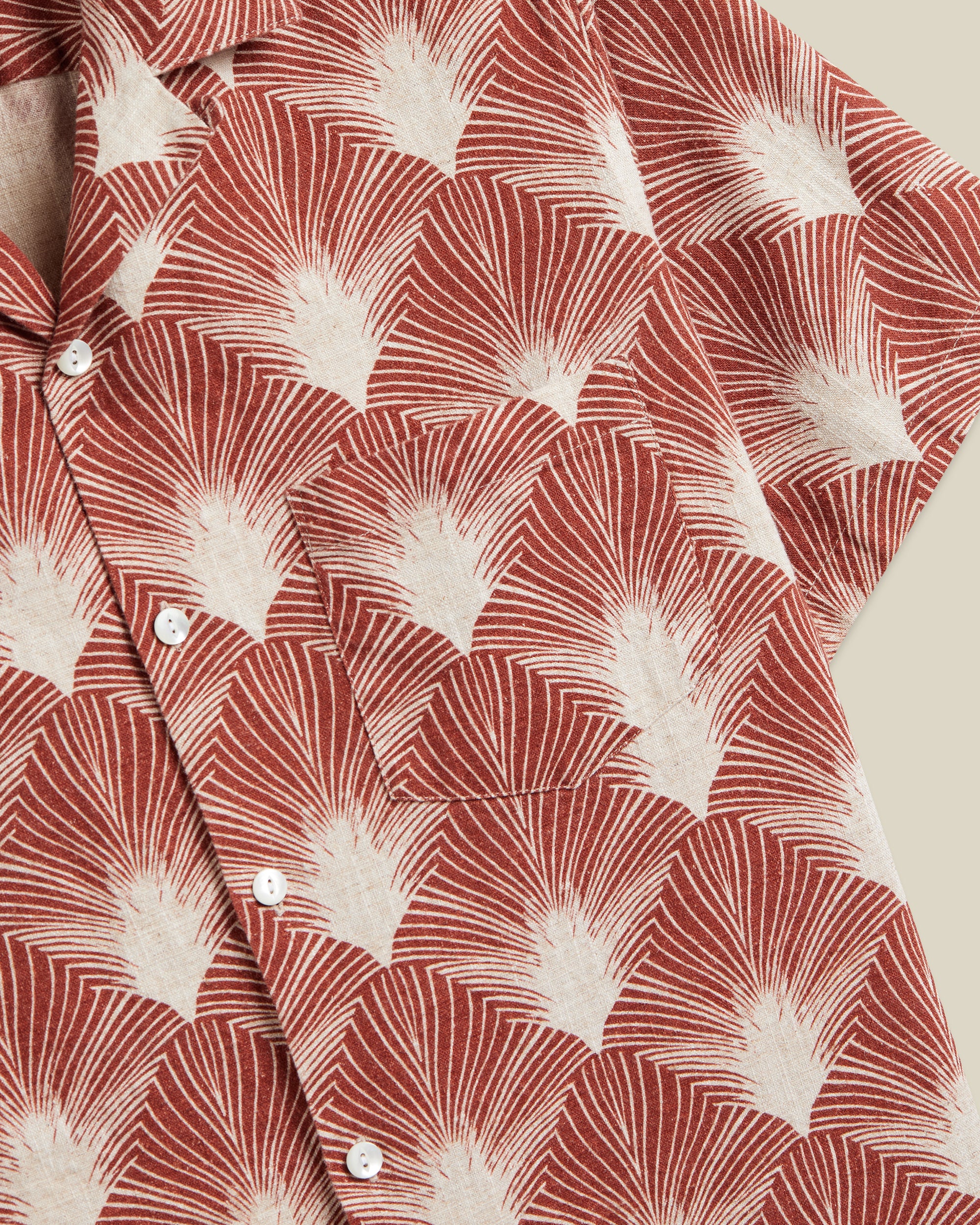FEATHERS - Image 3
