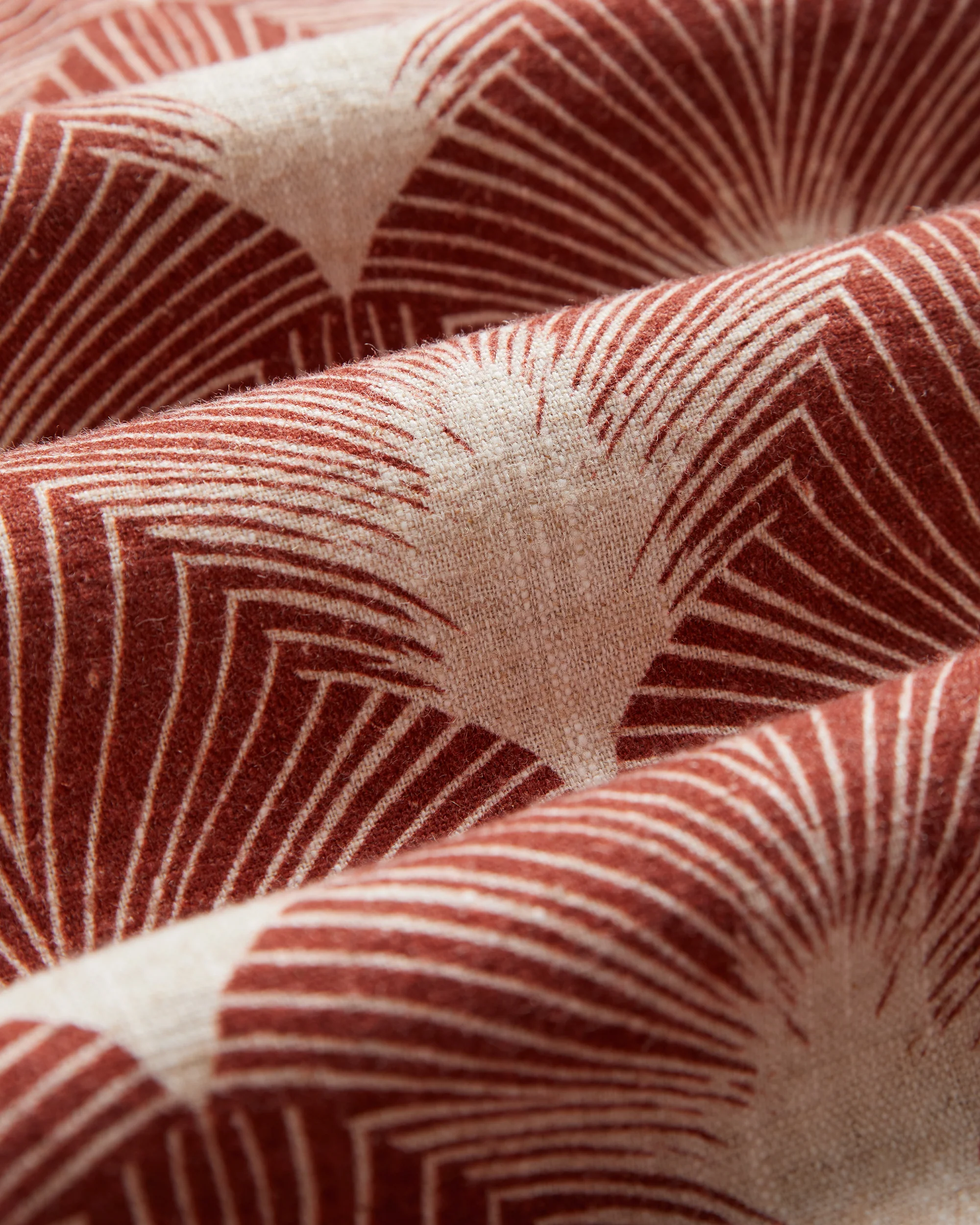 FEATHERS - Image 4